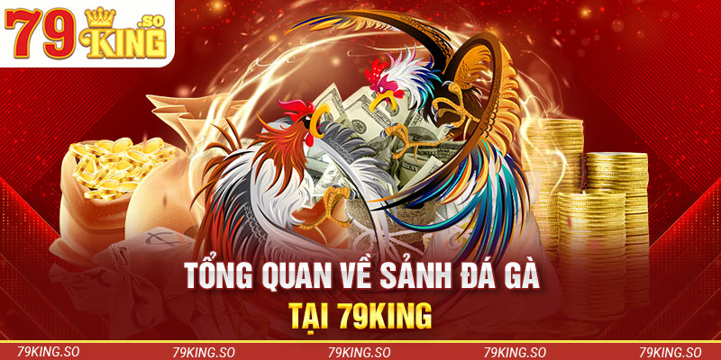 Tổng quan về sảnh đá gà tại 79KING