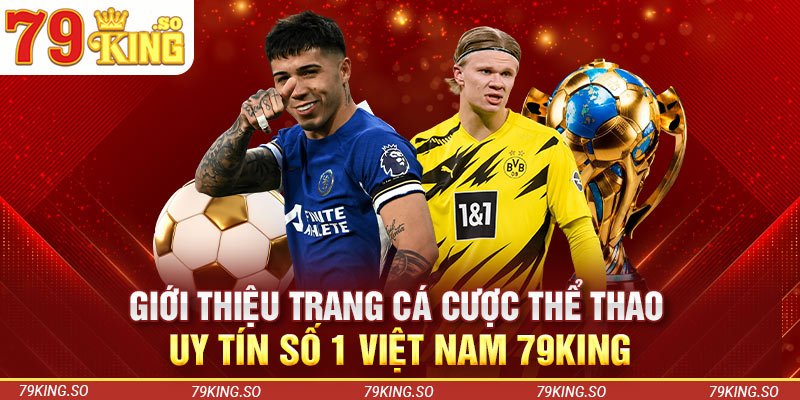 Giới Thiệu Trang Cá Cược Thể Thao Uy Tín Số 1 Việt Nam 79KING