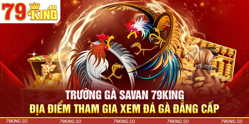 Trường Gà Savan 79KING – Địa Điểm Tham Gia Xem Đá Gà Đẳng Cấp